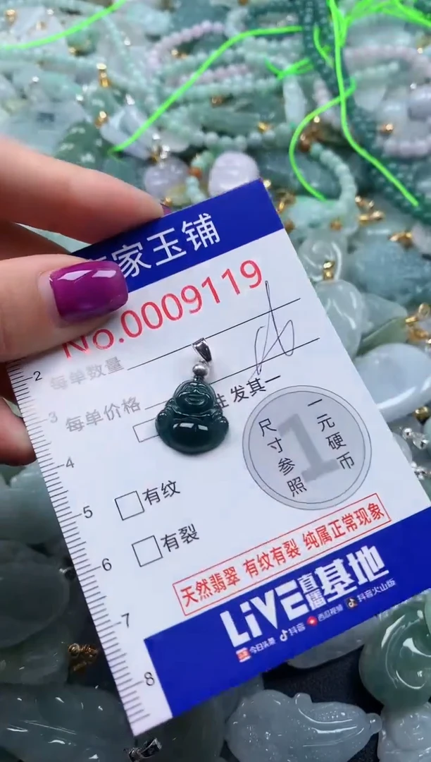 颈饰未镶嵌翡翠9119