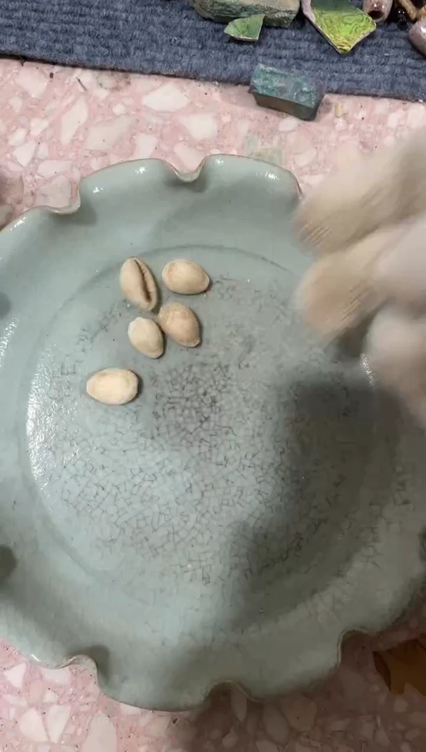 【闪购商品】瓷片瓷瓷瓷瓷瓷瓷瓷瓷瓷瓷瓷瓷瓷