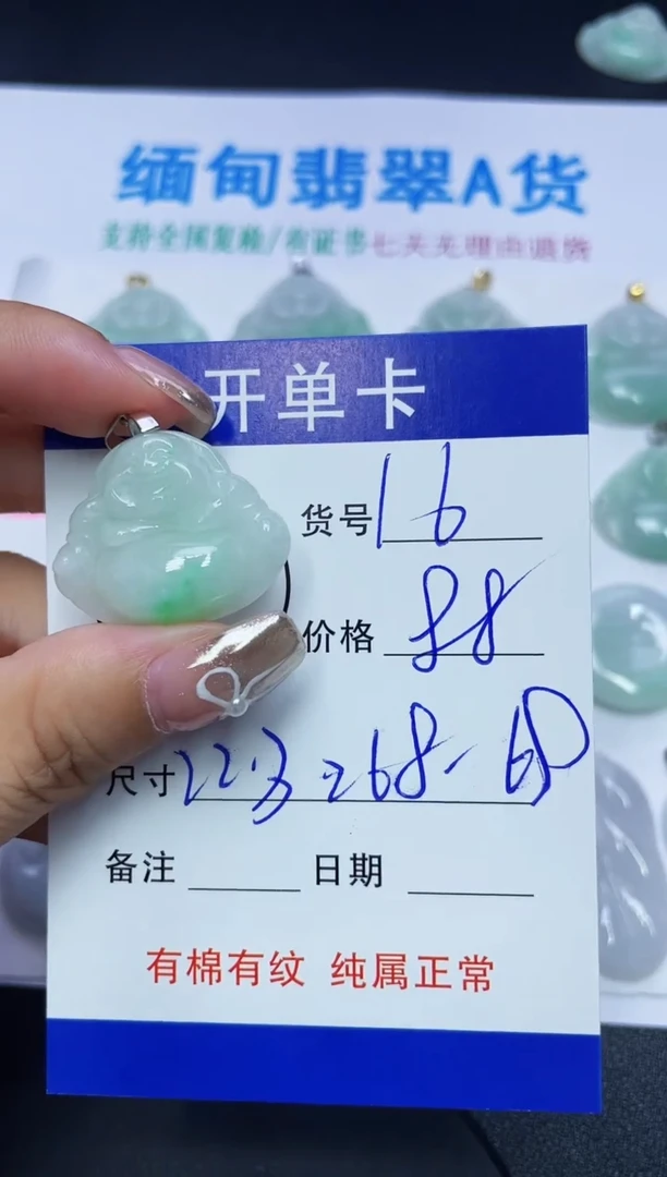 翡翠未镶嵌吊坠(赠链)16