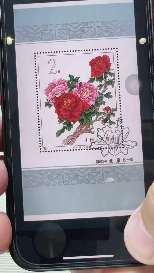 特61M 牡丹（盖）小型张 封装评级 邮票