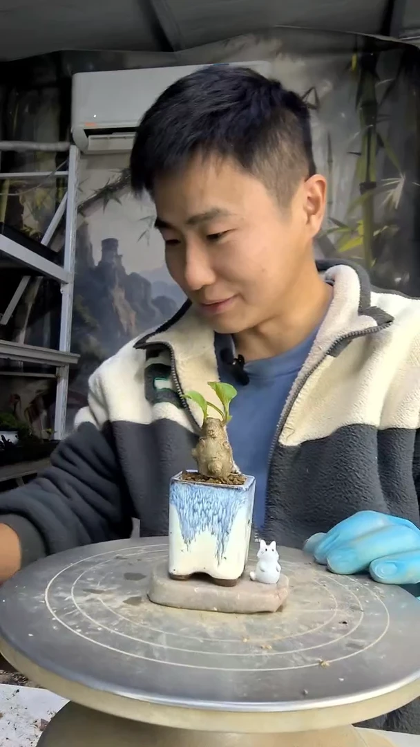 北***姐中青园艺一物一拍花149