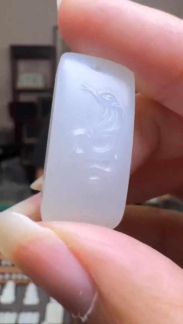 和田玉未镶嵌吊坠(赠链)蛇