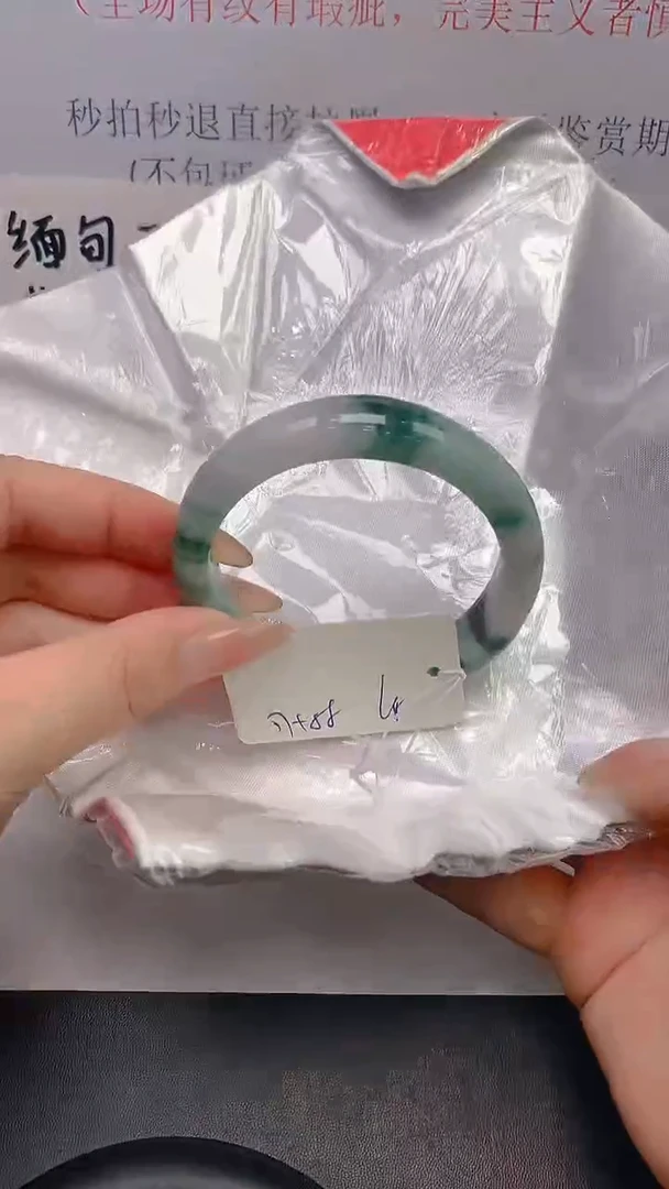 未镶嵌手镯翡翠47