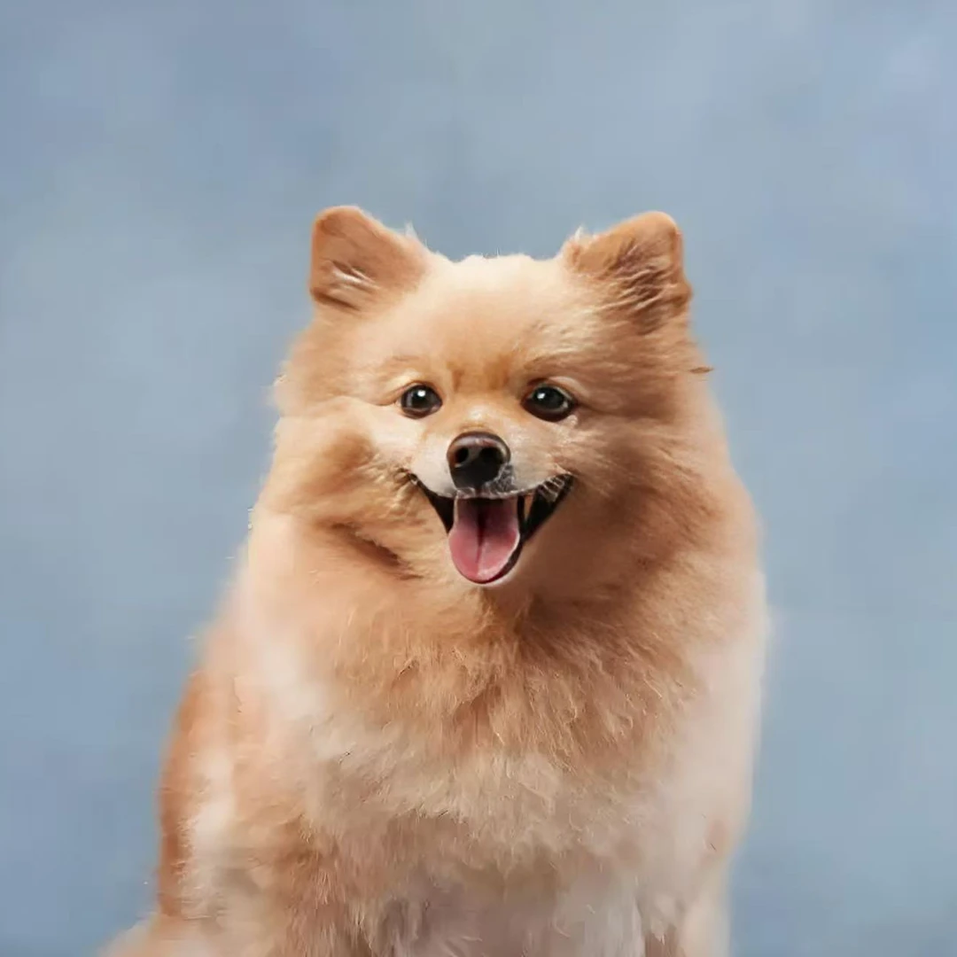 直播间挑选(串串)，一物一拍