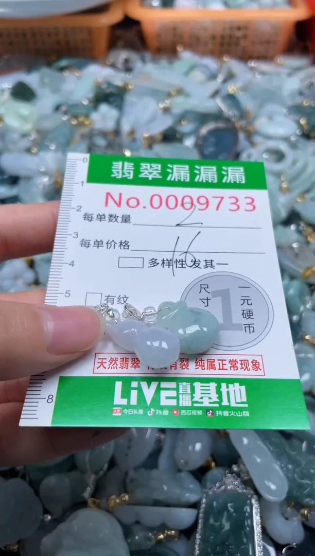 颈饰未镶嵌翡翠9733