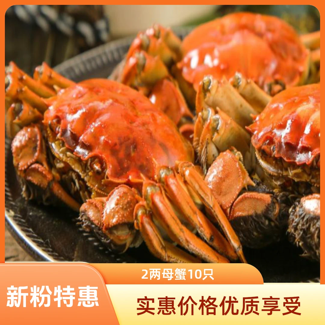 【活蟹】 微山湖蟹 全母8只-10只 2.0-1.8两 新粉享