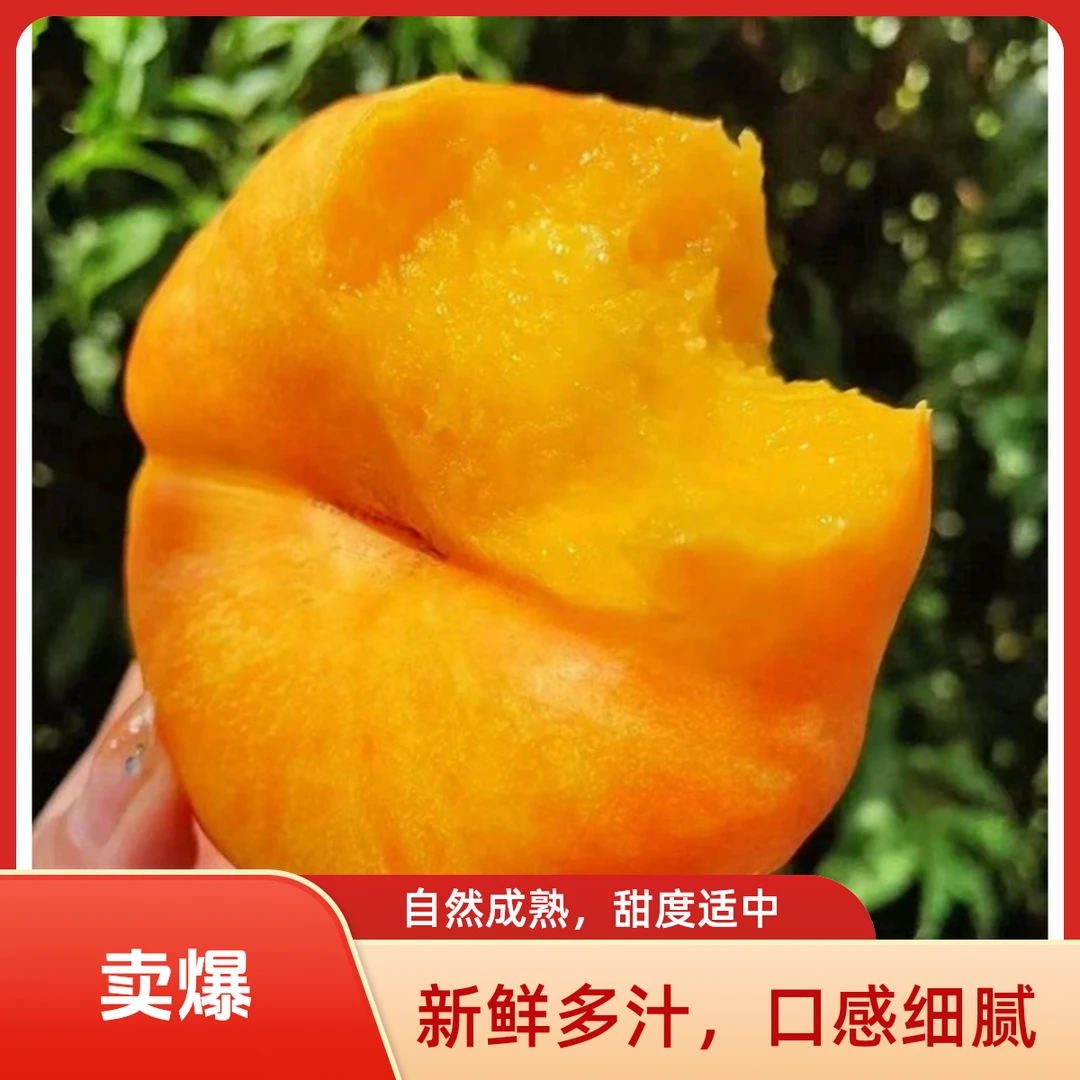 【京东快递】陕西彩虹油蟠桃新鲜桃子纯甜爆汁新鲜应季现摘现发水果
