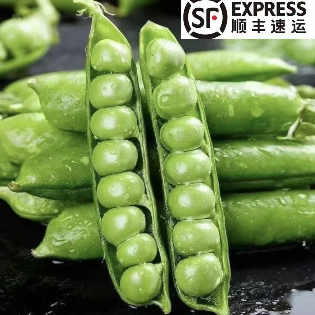 【顺丰包邮】新鲜现采水果豆农家青豆荚甜脆生豌豆水果豌豆