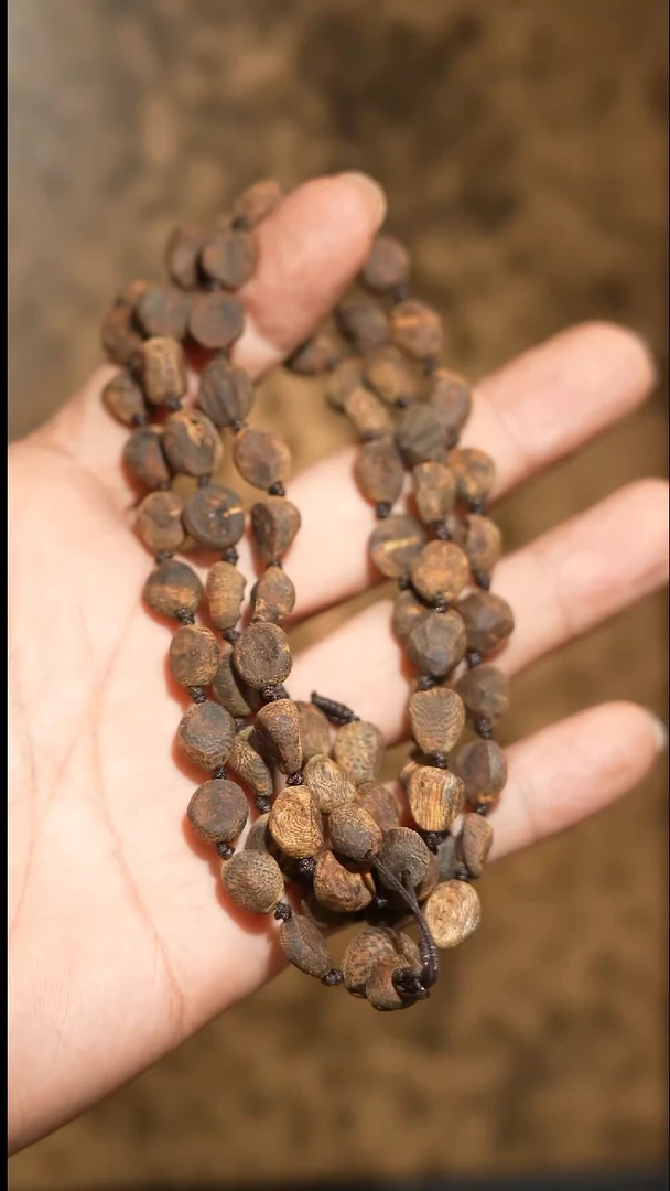 沉香手串海南绿奇楠沉水树丁虫漏随型长串23克