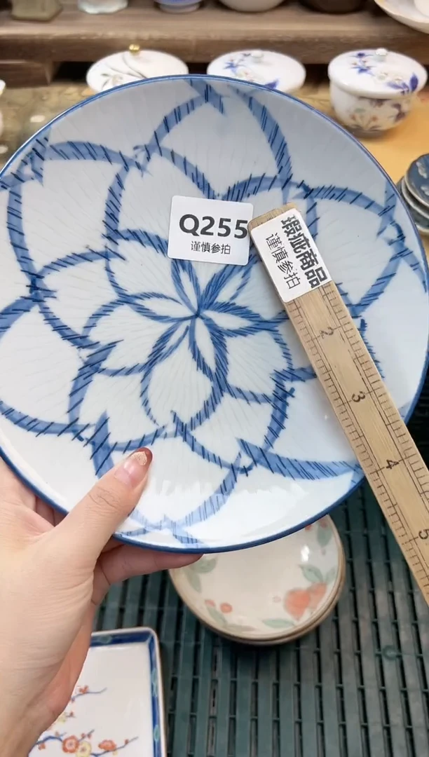 瓷片杨*洋        255
