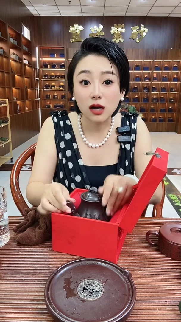 茶壶紫砂喜鹊登枝高咏梅 紫龙血砂（壶内速干） 顾林芬
