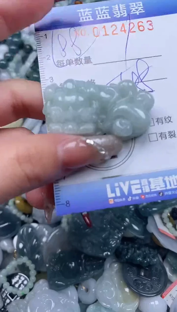 【闪购商品】翡翠颈饰未镶嵌闪购0124263