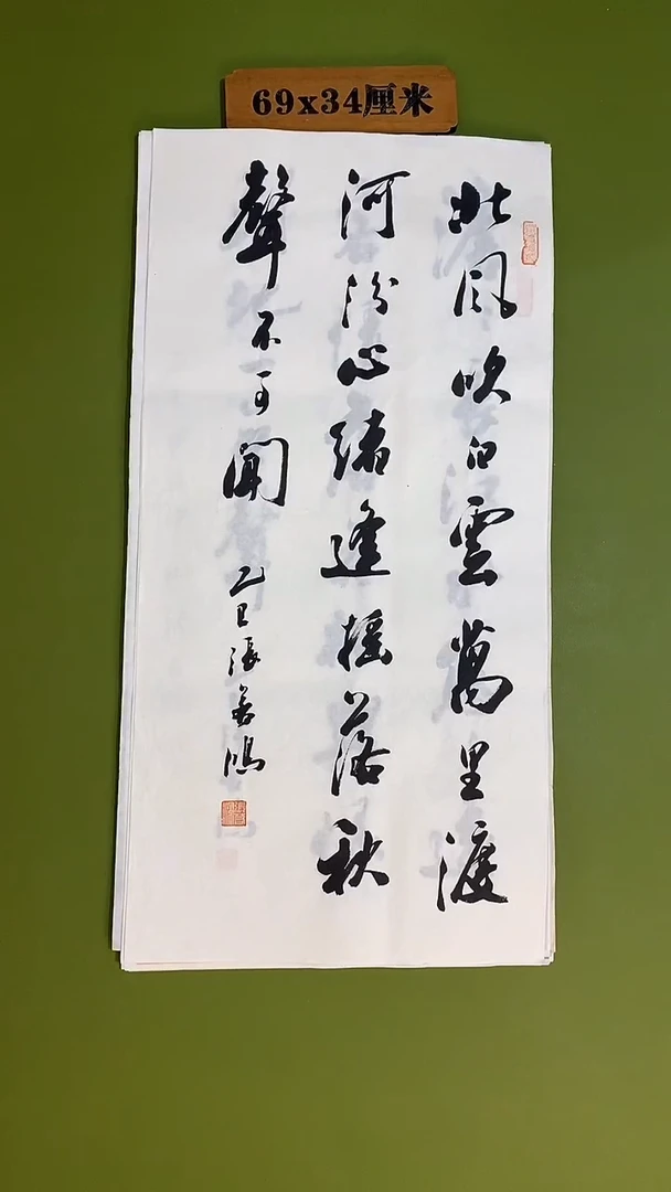 书法书法 张若鸿 尺寸69cm*34cm