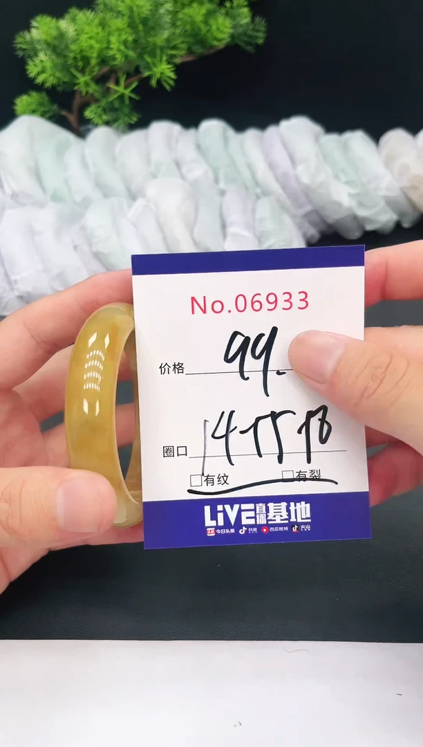 未镶嵌手镯翡翠06933