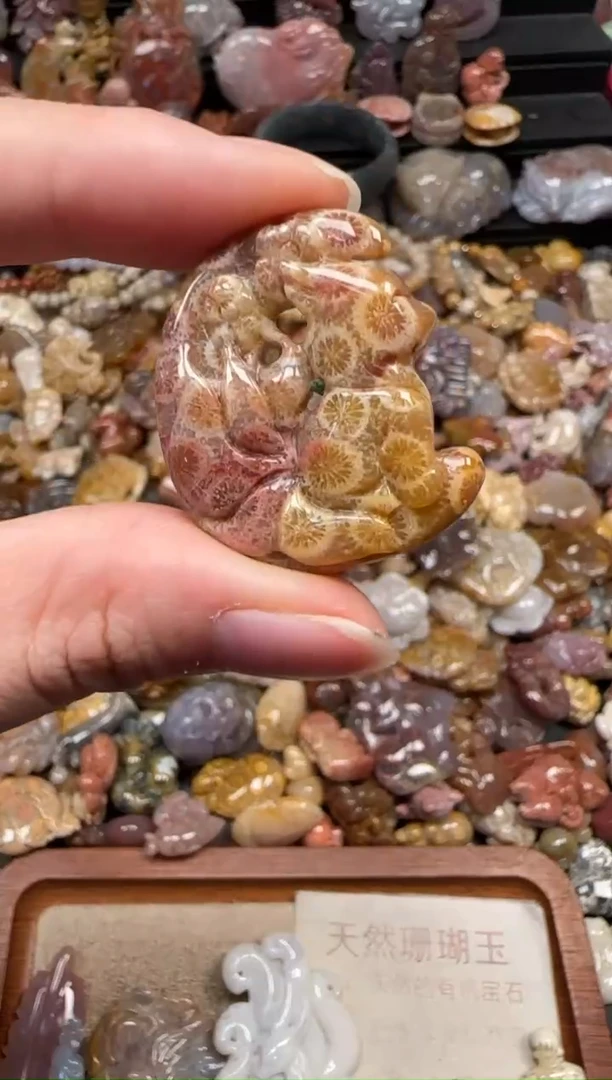 颈饰未镶嵌硅化珊瑚（珊瑚玉）595