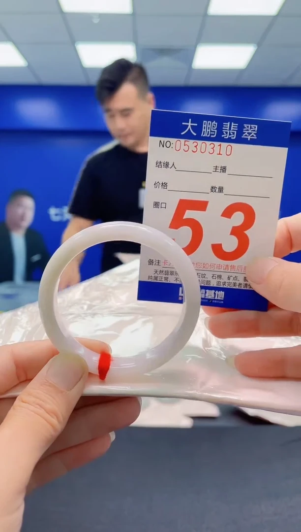 未镶嵌手镯翡翠AAAAAAAAA