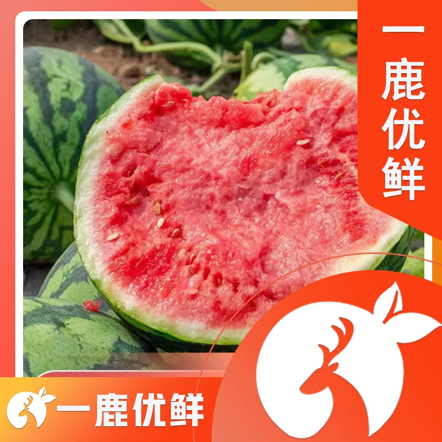 麒麟西瓜一个海南西瓜4.47kg3308西瓜同城送新鲜海南省