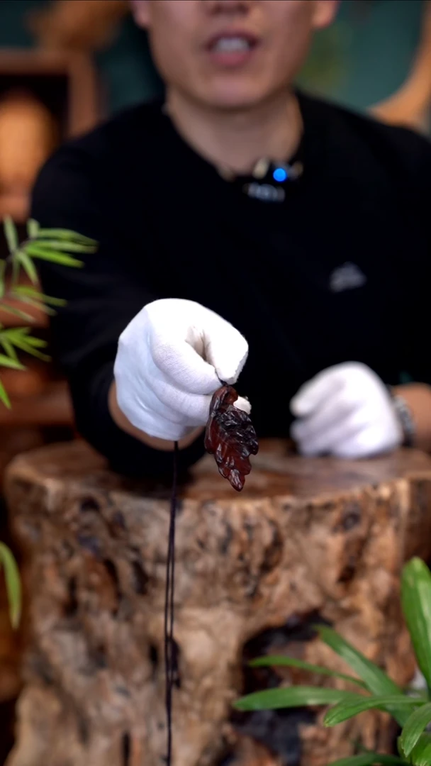 木雷击枣木千秋大叶