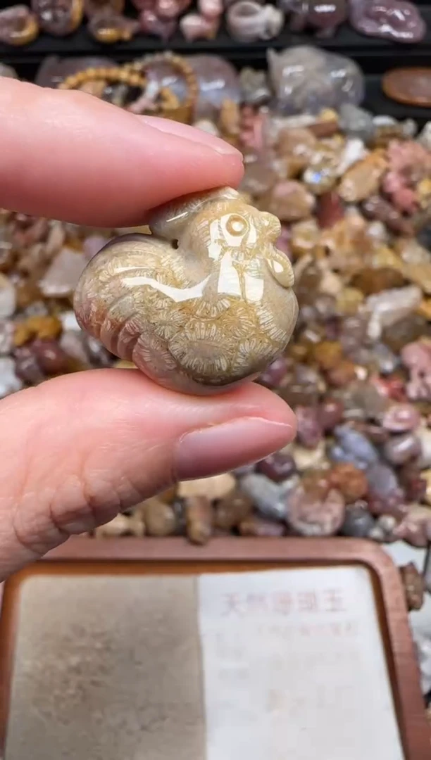 颈饰未镶嵌硅化珊瑚（珊瑚玉）210