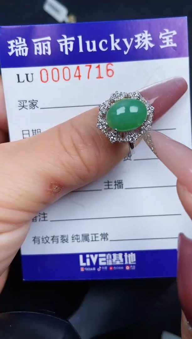 翡翠银S925镶嵌颈饰4716
