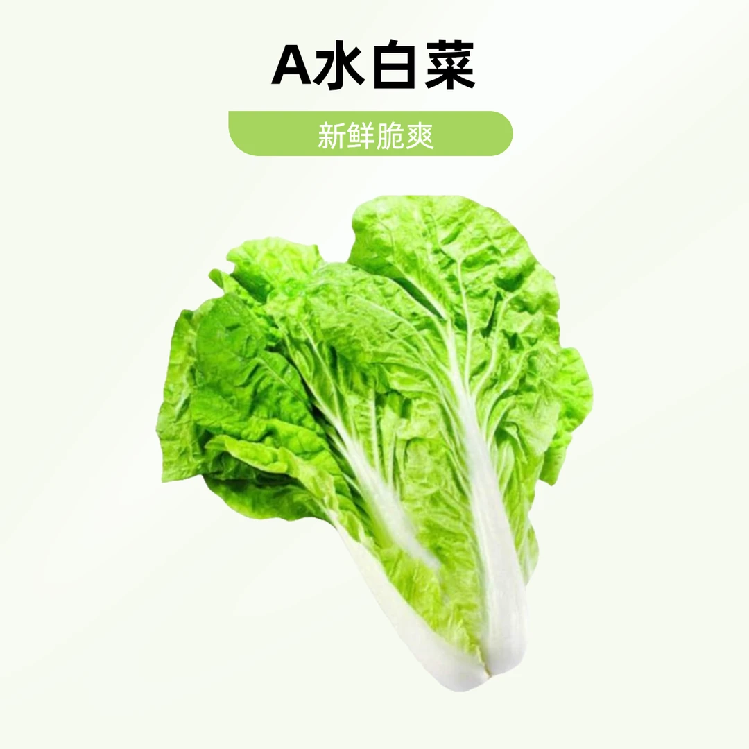 A水白菜约500g/份