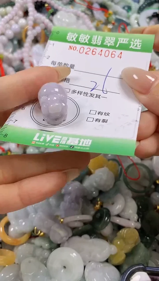 翡翠未镶嵌颈饰闪购0264064