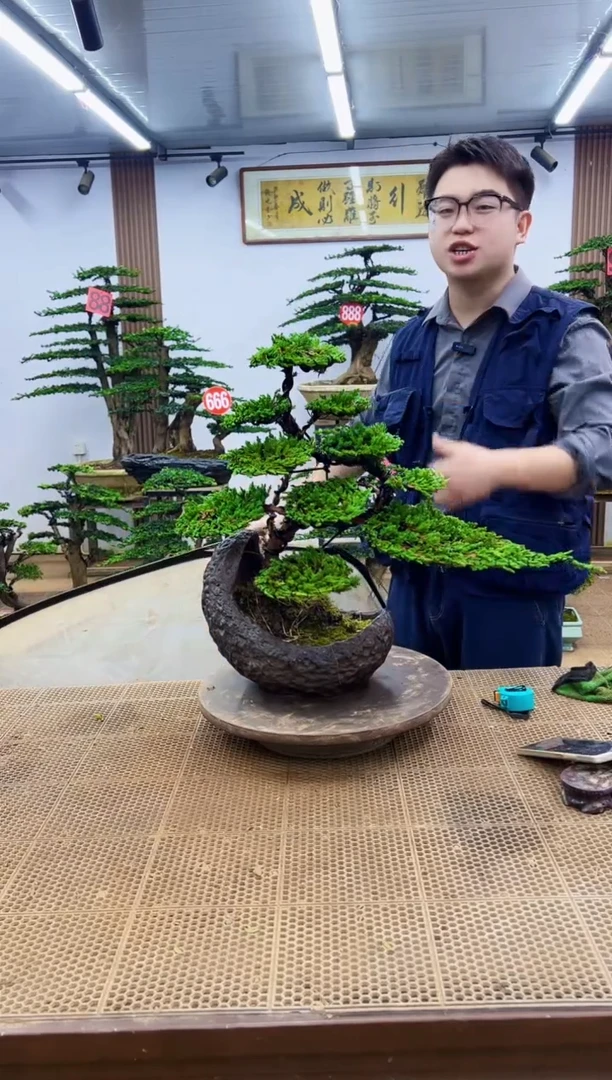 无花朵一物一拍，所见即所得