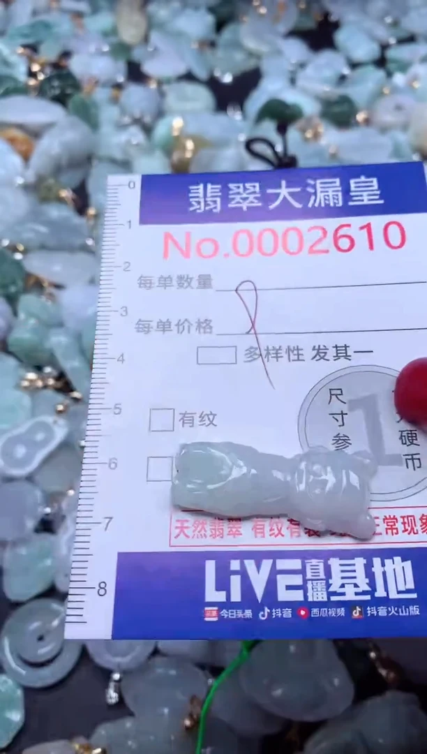 颈饰未镶嵌翡翠2610