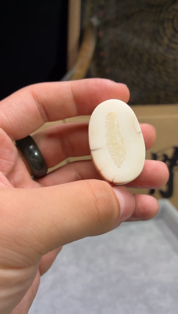 其他猛犸象牙QB18 虬系列饼子