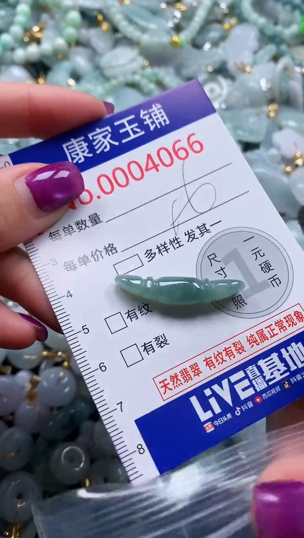颈饰未镶嵌翡翠4066