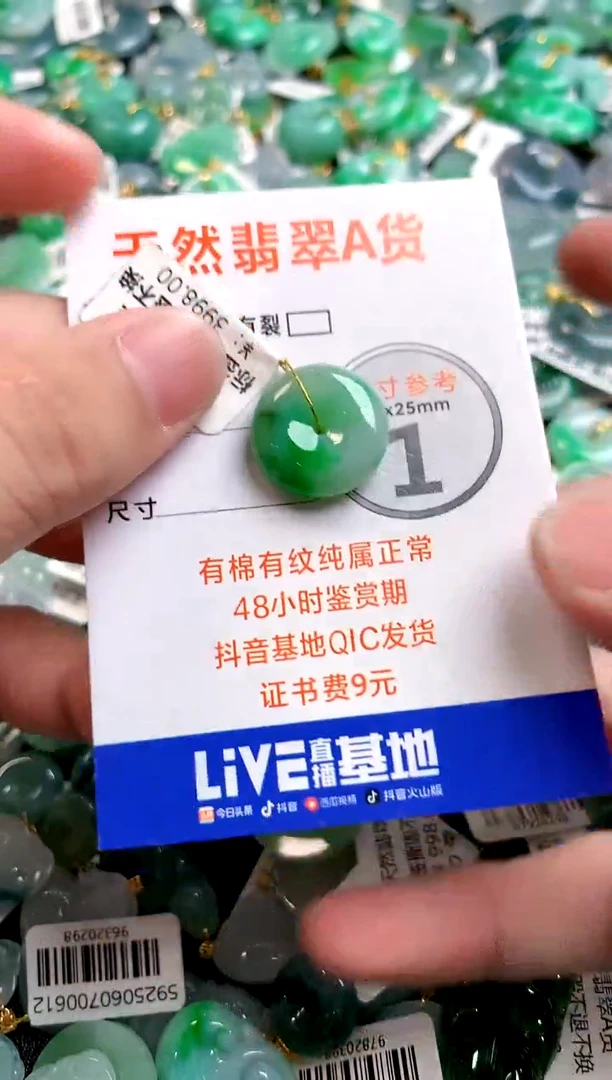 颈饰未镶嵌翡翠0902611151