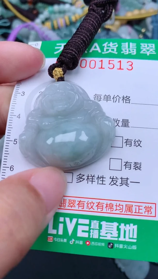 翡翠未镶嵌颈饰.0001513