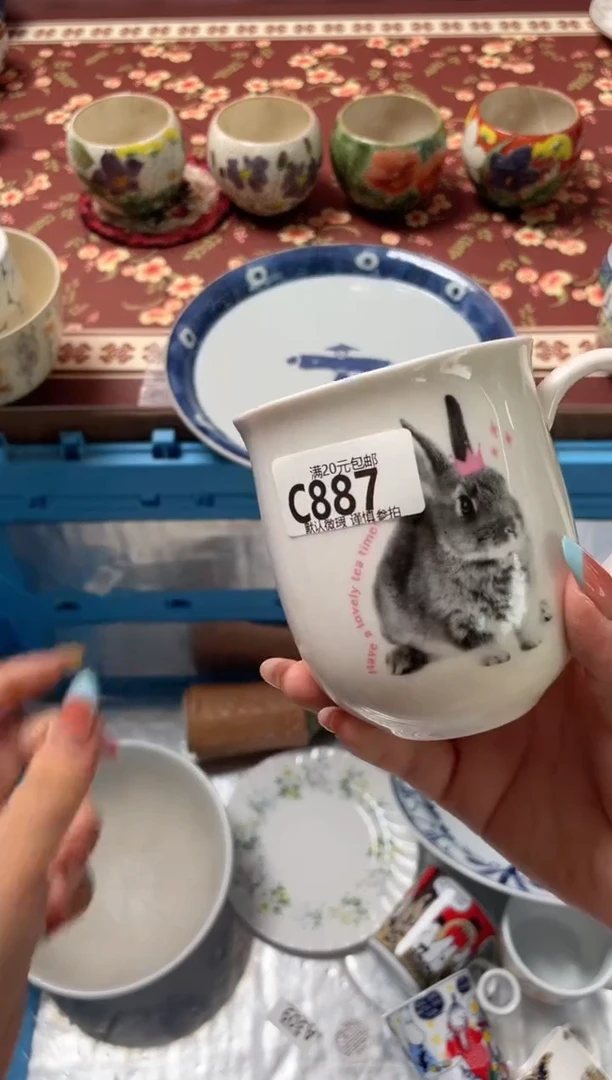瓷片小***气瓷器瓷器C887