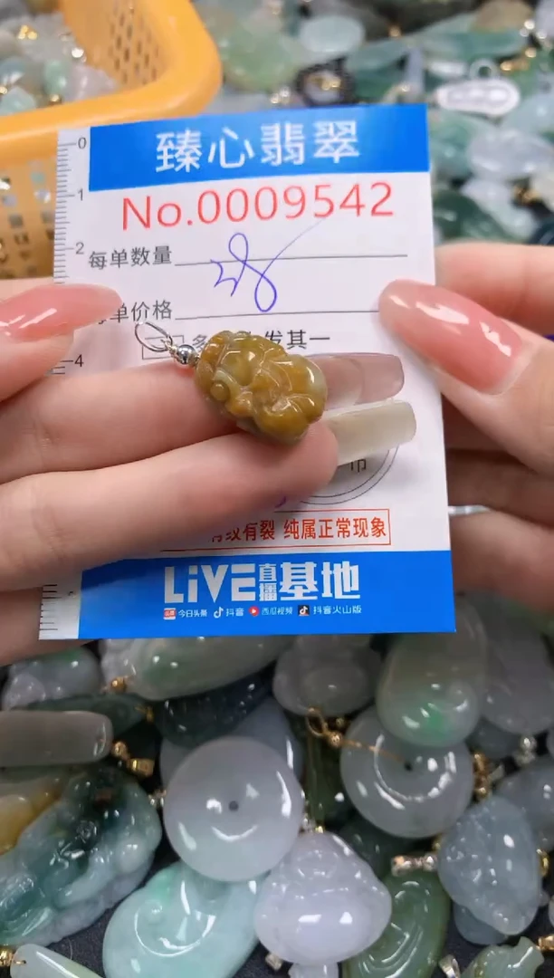 翡翠未镶嵌颈饰9542