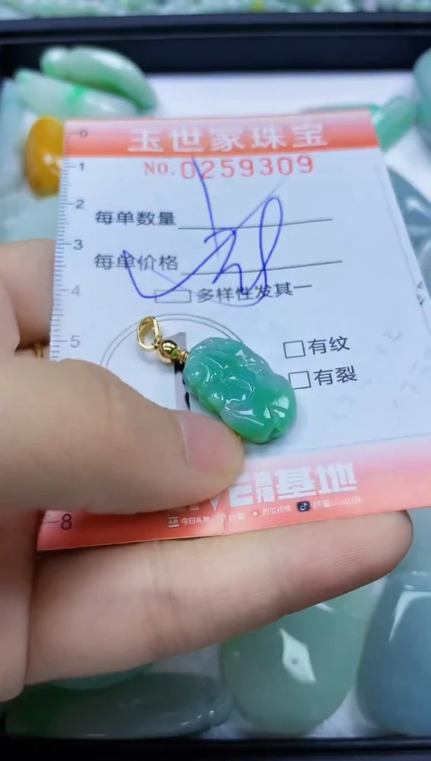 翡翠未镶嵌颈饰闪购0259309多样性发其一