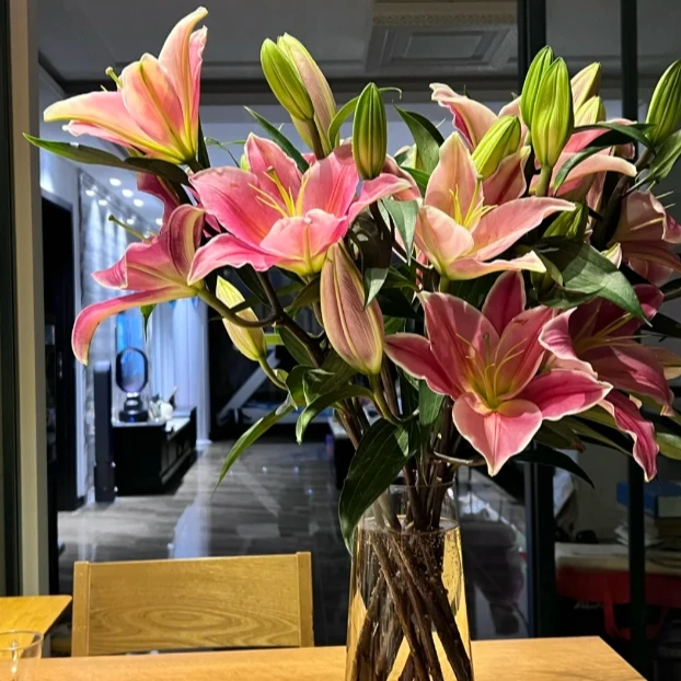 【全场任意两单包邮】罗宾百合 2头5枝（1个头不赔付）