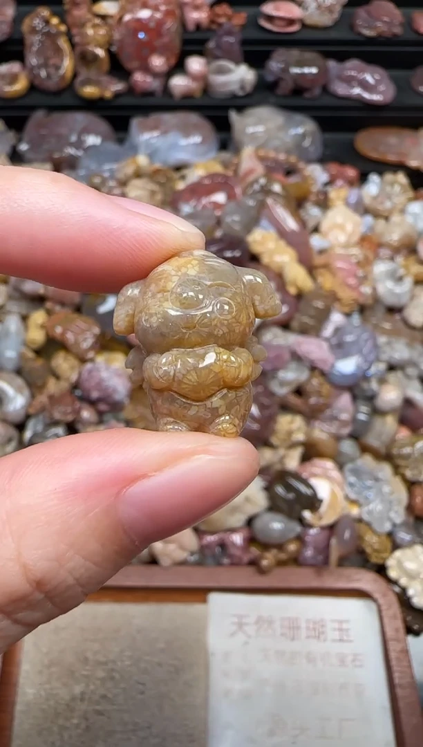 颈饰未镶嵌硅化珊瑚（珊瑚玉）303