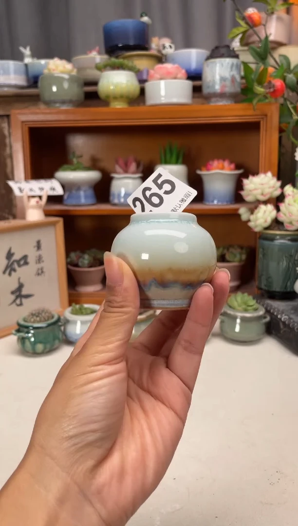 瓷片265知木小芳花盆