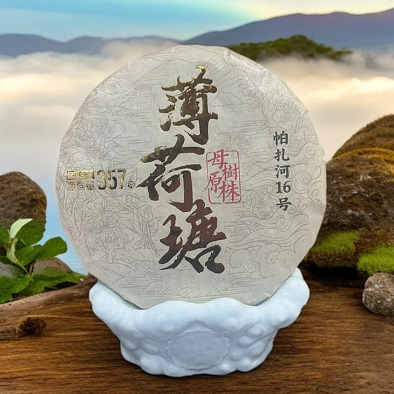 薄荷塘 母树原株 帕扎河16号 茶汤细腻绵滑 普洱茶 生茶