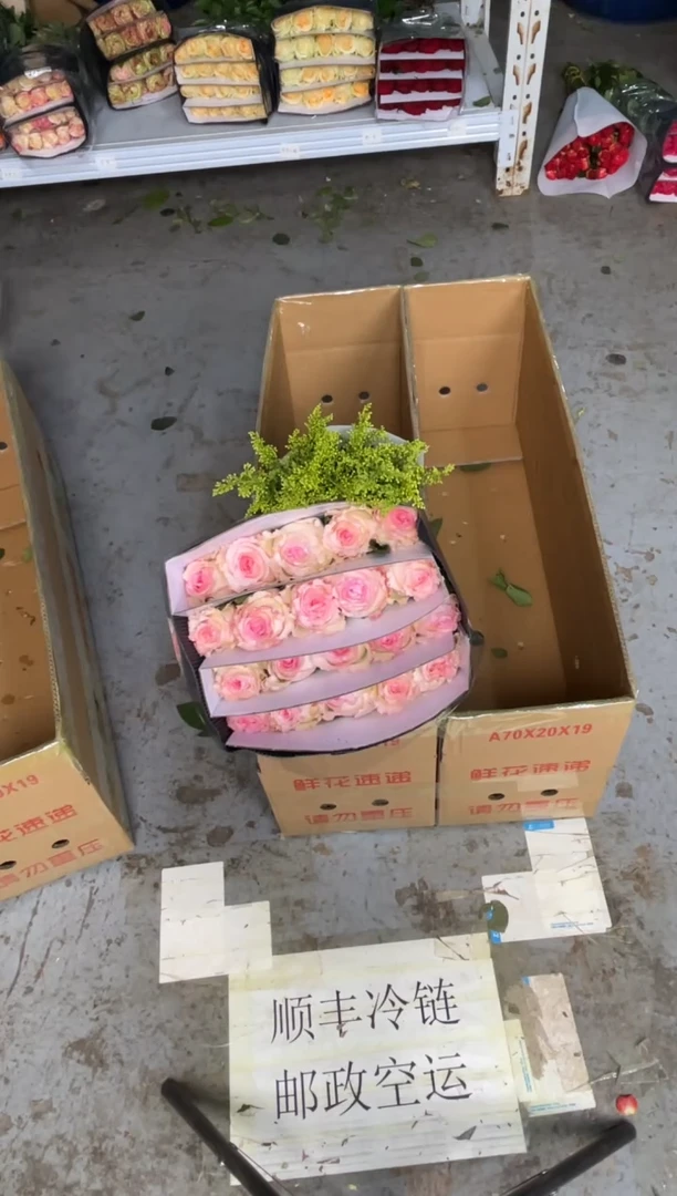 卡罗拉2扎+洛神1扎+黄莺