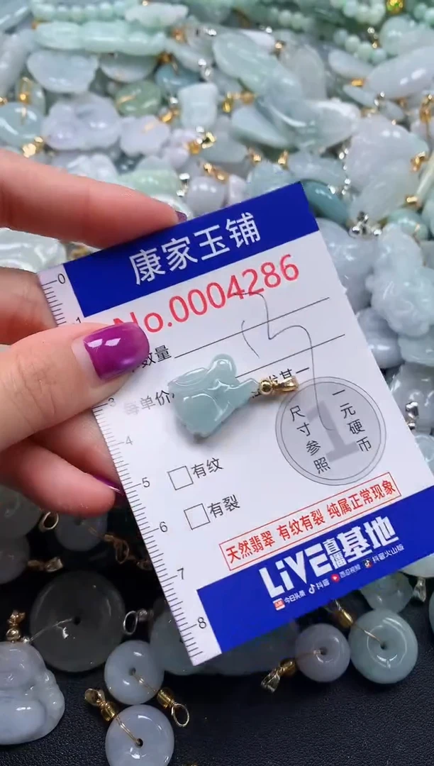 颈饰未镶嵌翡翠4286