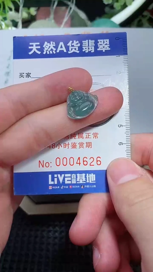 【闪购商品】翡翠颈饰未镶嵌天然A货翡翠多样性发货发其一