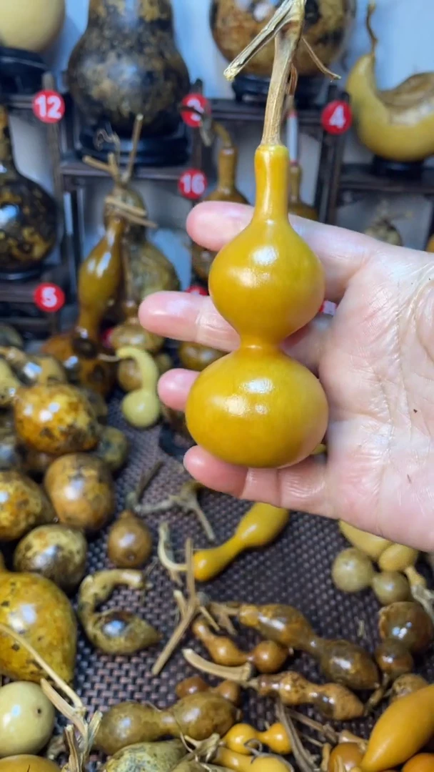 【闪购商品】葫芦葫芦葫芦葫芦葫芦葫芦葫芦