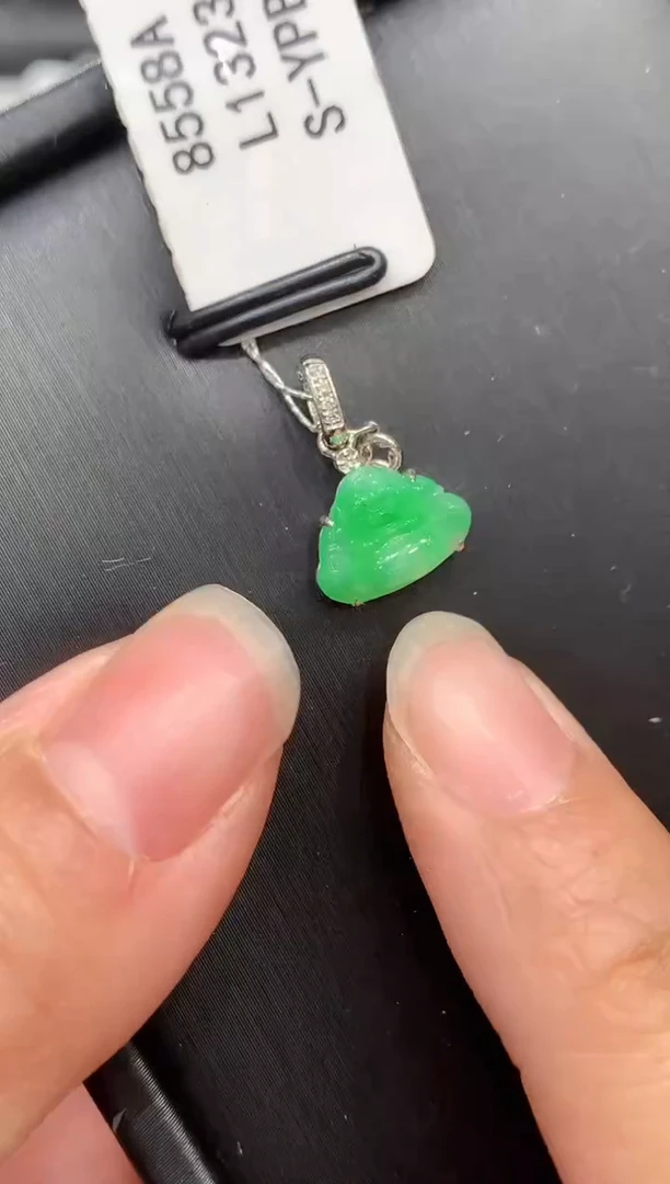 翡翠18K金镶嵌吊坠(不含链)L1325多样性发其一