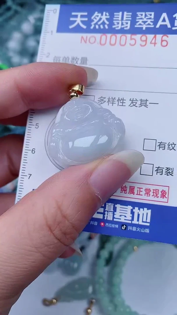 翡翠未镶嵌颈饰00005946