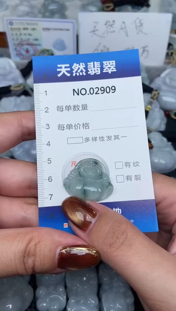 颈饰未镶嵌翡翠纯天然A货翡翠2909