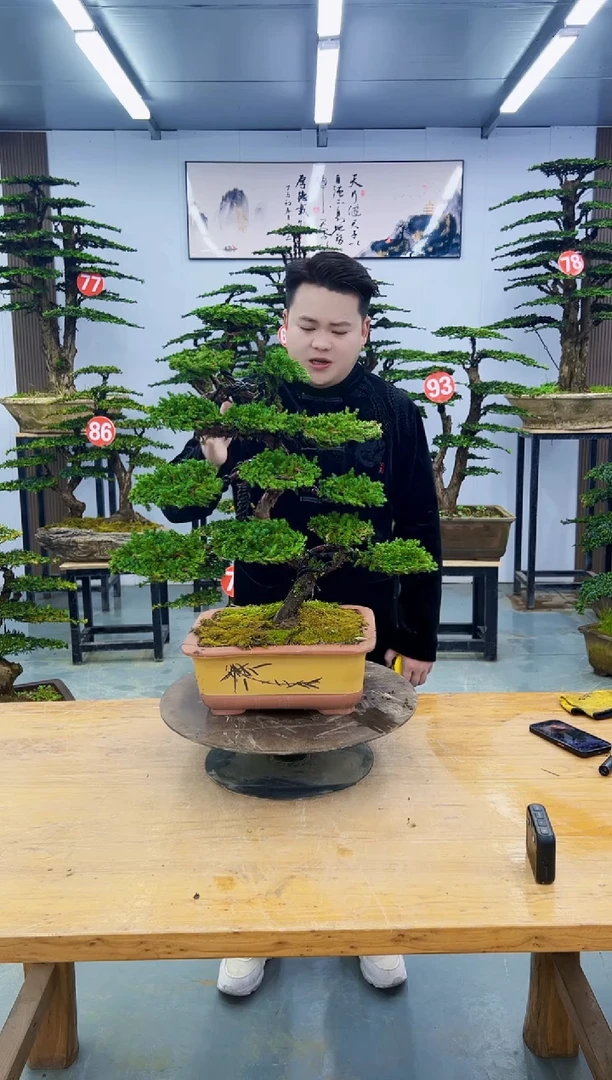 以实际为准000000000