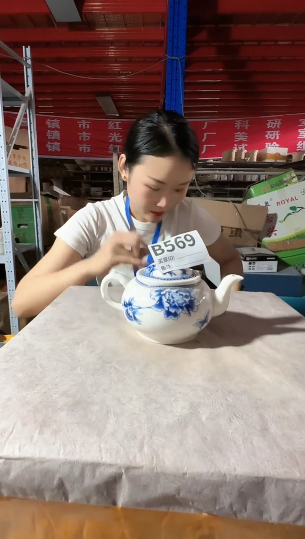 其他B569景德镇制陶瓷壶一件