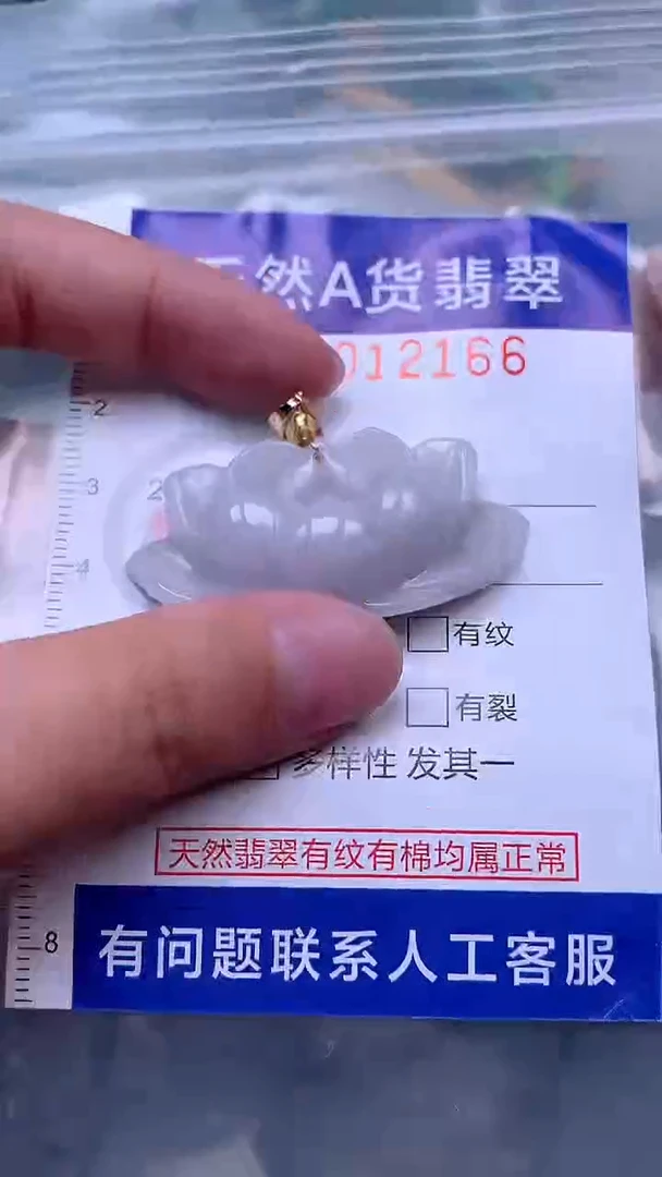 吊坠(赠链)未镶嵌翡翠1