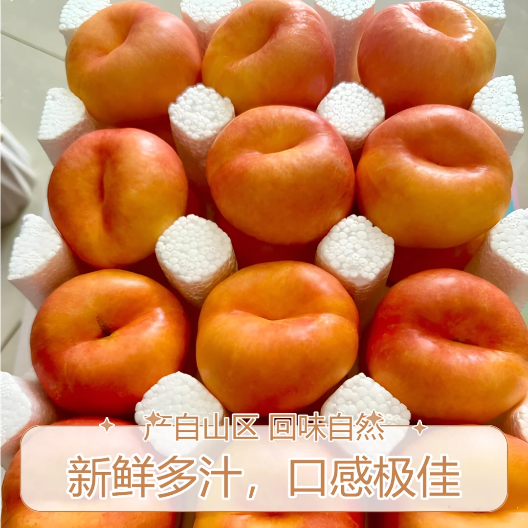 正宗辽宁绥中彩虹油蟠桃新鲜应季水果黄心油桃甜嫩多汁皮薄包邮